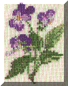 herbier10.gif (56300 bytes)