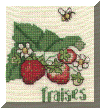 herbier2.gif (72468 bytes)