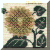 herbier3.gif (69177 bytes)