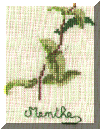 herbier4.gif (44934 bytes)