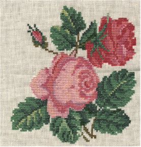 roses.jpg (26000 bytes)